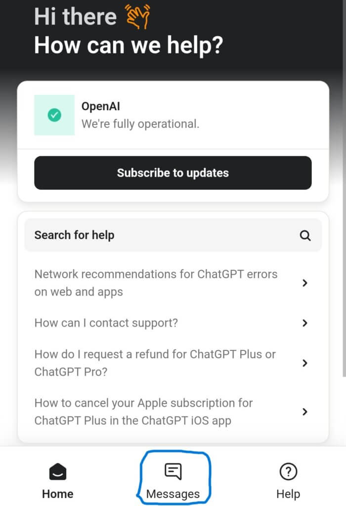 ChatGPT（チャットGPT）のチャットでの問い合わせ先（手順２）